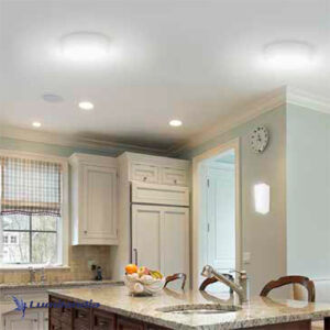 Plafon Drops Redondo 2 Lampadas