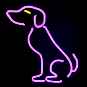 abajur_neon_pet_sentadp