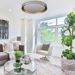 plafom_paco_ambientado