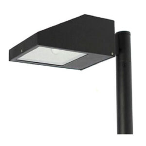 poste-petala-publico50701