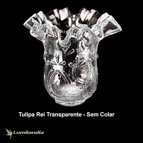 Tulipa Rei de Vidro sem Colar