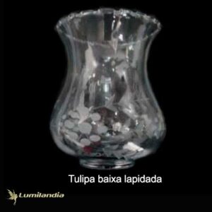 Tulipa Manga de Vidro Baixa