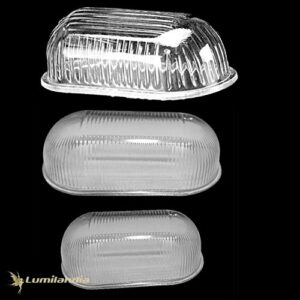 Sinaleiro Tartaruga de Vidro