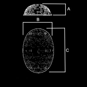 Lente Luminária Pública de Policarbonato Frisado