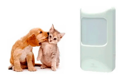A imagem esquerda um filhote de cachorro marrom claro "abraçando" ou cheirando um gatinho cinza e branco. À direita, há um dispositivo eletrônico retangular e branco, que se assemelha a um sensor de movimento ou de alarme. A foto sugere a aplicação do sensor em ambientes com animais de estimação