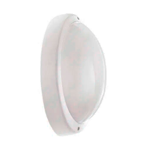 Tartaruga Aludra Oval