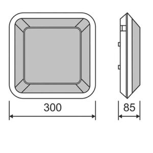 Parede Plafon Ascurpio