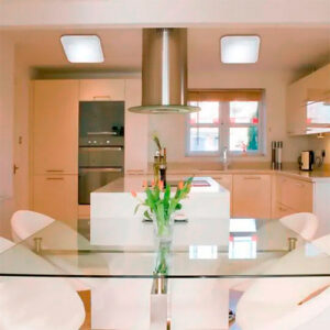 Parede Plafon Ascurpio