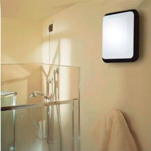 Parede Plafon Ascurpio