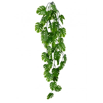 PENDENTE DE COSTELA DE ADAO