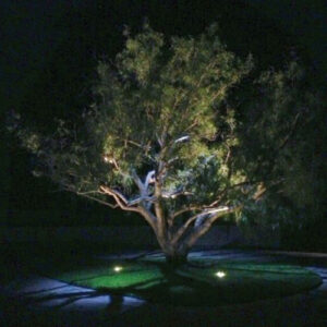 Luminária de Chão Embutido de solo LED 15Watts3