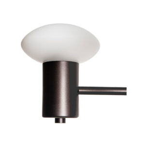 Luminária de Teto Lustre Globo Vidro Sakai1