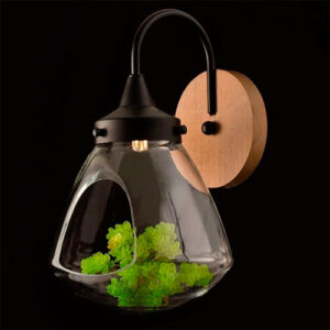 arandela_terrario-canopla_redonda