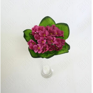 buque_de_violeta_aveludada