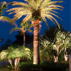 embutido_solo_20wambientado