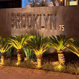 embutido_solo_6w_ambientado