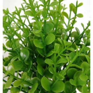 maco_de_folhas_EUCALIPTO-folha