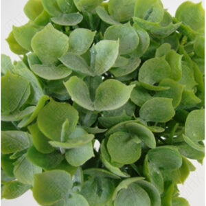 maco_de_folhas_EUCALIPTO-nevado-2