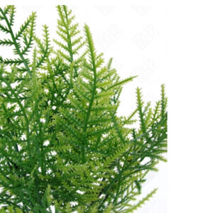 maco_de_folhas_pinheiro-2