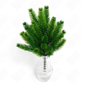 mini_buque_rabo_raposa