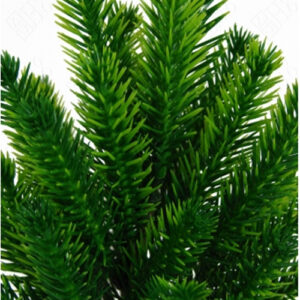 mini_buque_rabo_raposa-detalhe