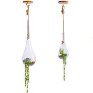 pendente_decorativo_terrario_2-tamanhos