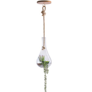 pendente_decorativo_terrario_50cm