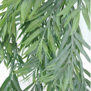 pendente_folha_salgueiro-2