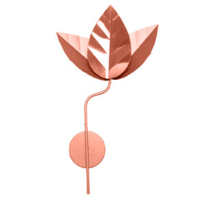 ARANDELA_WILD_CAL_DOF-cobre