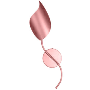 ARANDELA_WILD_DOF-cobre