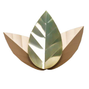 ARANDELA_WILD_FALL_DOF