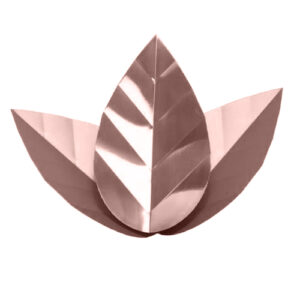 ARANDELA_WILD_FALL_DOF_cobre