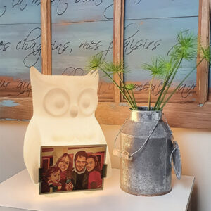 abajur_infantil_Polietileno_coruja_porta_retrato_branca-ambientado