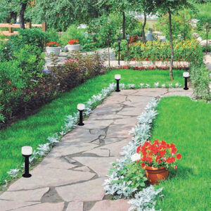 Balizador_Cheese_ambiemtado