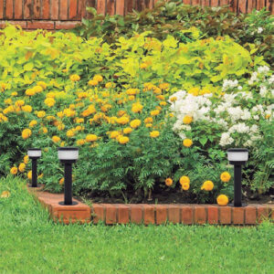 Balizador_Cheese_tampa_ambiemtado