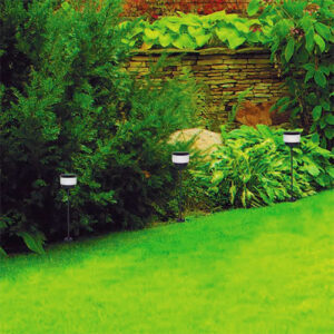 Balizador_espeto_Cheese_tampa_ambiemtado