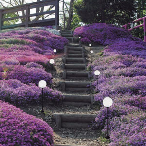 Balizador_espeto_globinho_ambiemtado