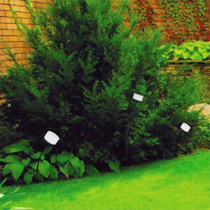 espeto_Cheese_inclinado_ambiemtado