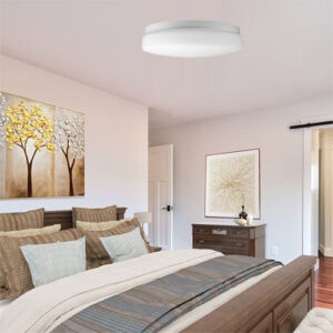 plafom_CHEESE-ambientado