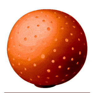 Balizador_Baliball_D60-cafe