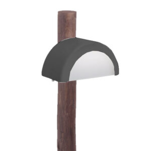 Balizador_Senna-sinza