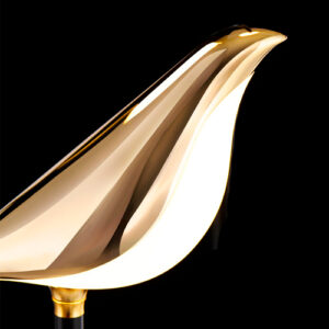 aranmdela_BIRD_detalhe