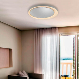 plafom_-AYNA_ambientado