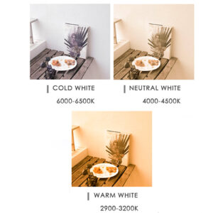 plafom_multitemperatura_cor_da_luz