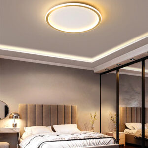 plafom_slin_drandeambientado