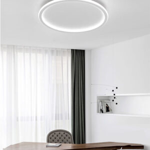 plafom_slin_pequeno_ambientado-2