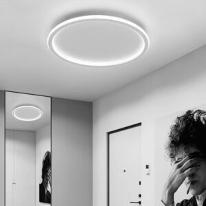 plafom_slin_pequeno_ambientado