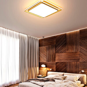 plafom_HOOP_ambientado