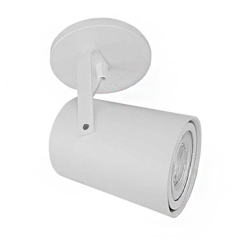 Spot Articulado Par20