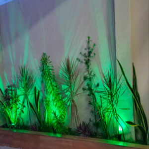 espeto_luz_cores_verde